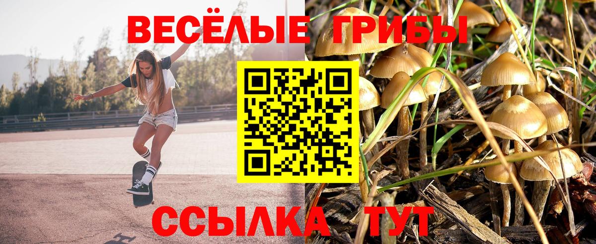 Галлюциногенные грибы ЛСД  Вход с VPN  Галлюциногенные грибы Magic Shrooms  Сафоново 